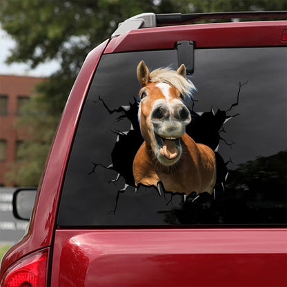 Funny Horses - Horse Decal Die Cut