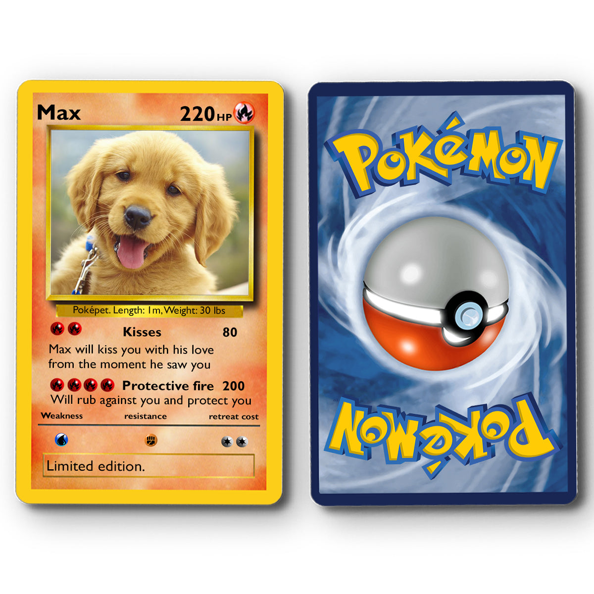 Poke Card - Personalized Monster Trainer Wallet Insert Card